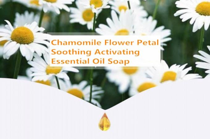 Chamomileの乾燥した花が付いているChamomileの精油の自然なハンドメイドの石鹸